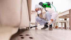 Best Pest Exclusion Services  in Uniondale, NY